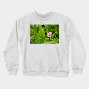 fli clover Crewneck Sweatshirt